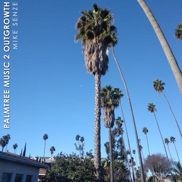 Palm Tree Music 2 Out Growth