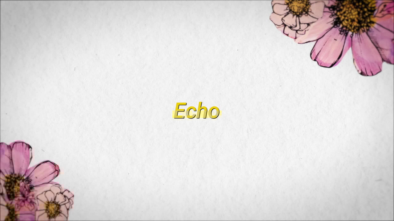 Echo