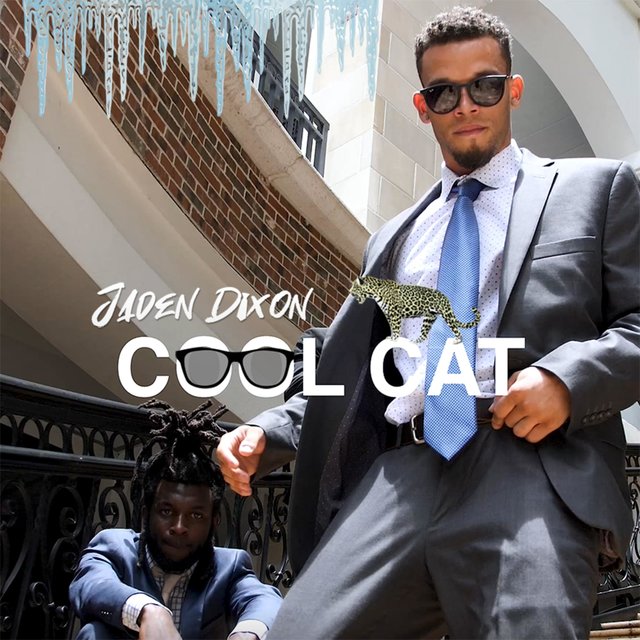 Cool Cat