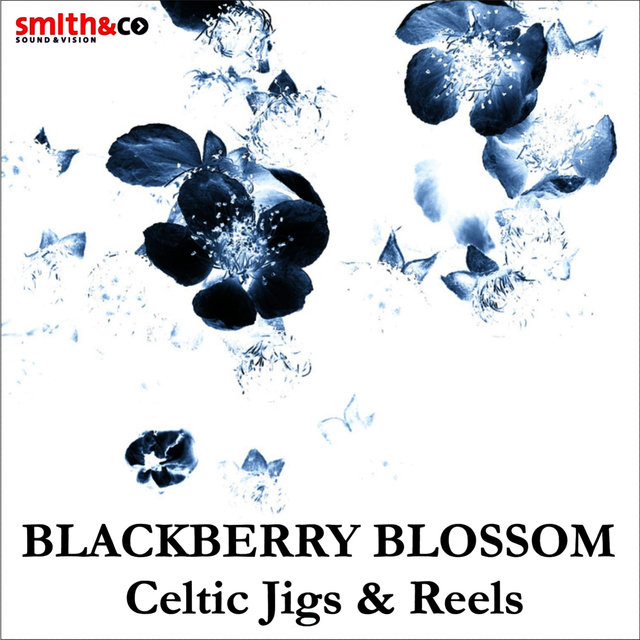 The Blackberry Blossom - Celtic Jigs & Reels