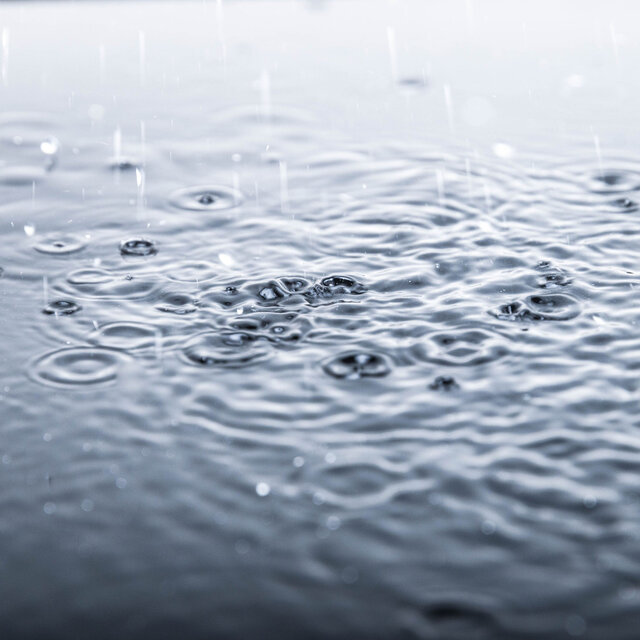 Raindrop Serenity: Calmness in Every Drop