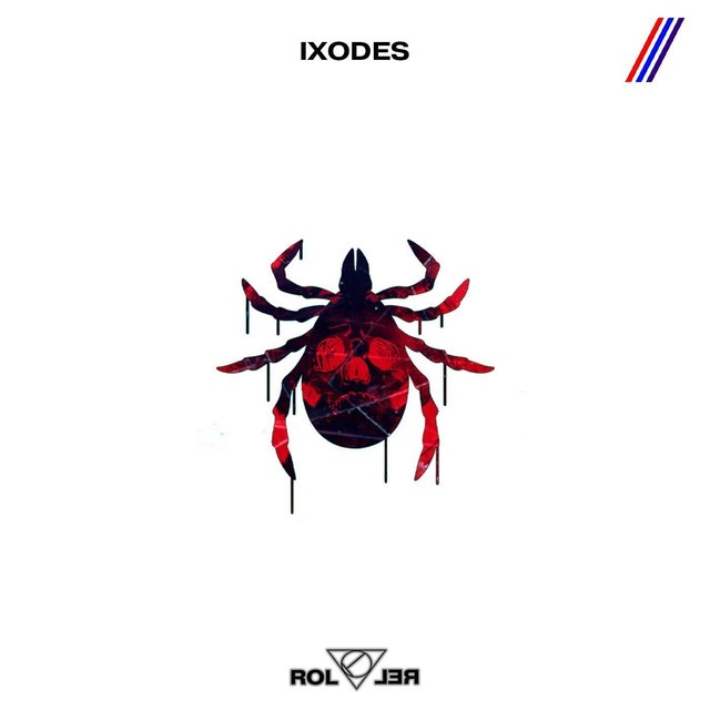 Ixodes