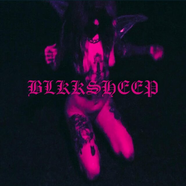 BLKKSHEEP