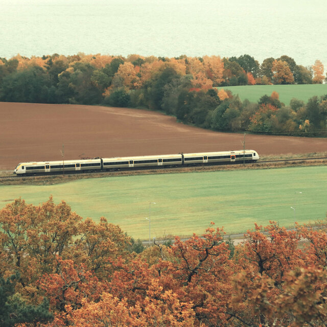 Morning in Early Fall