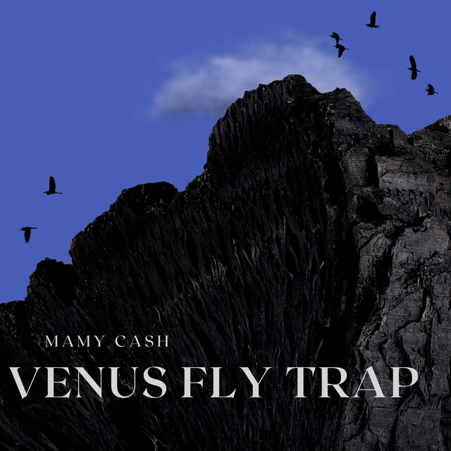 Venus Fly Trap