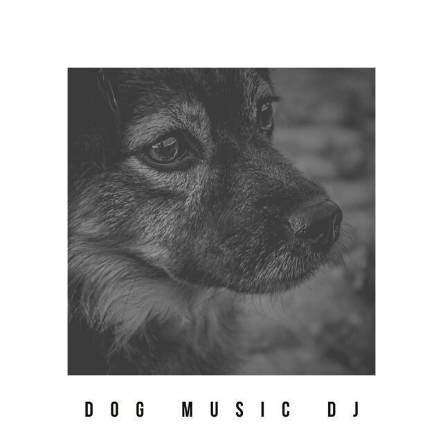 Healing Music For Dogs