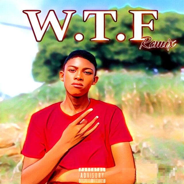 W.T.F Remix