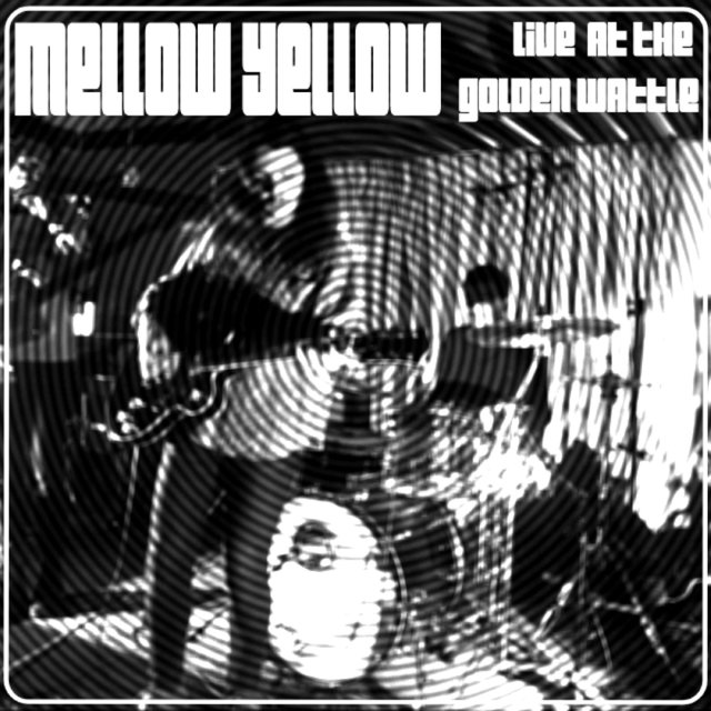 Live at the Golden Wattle