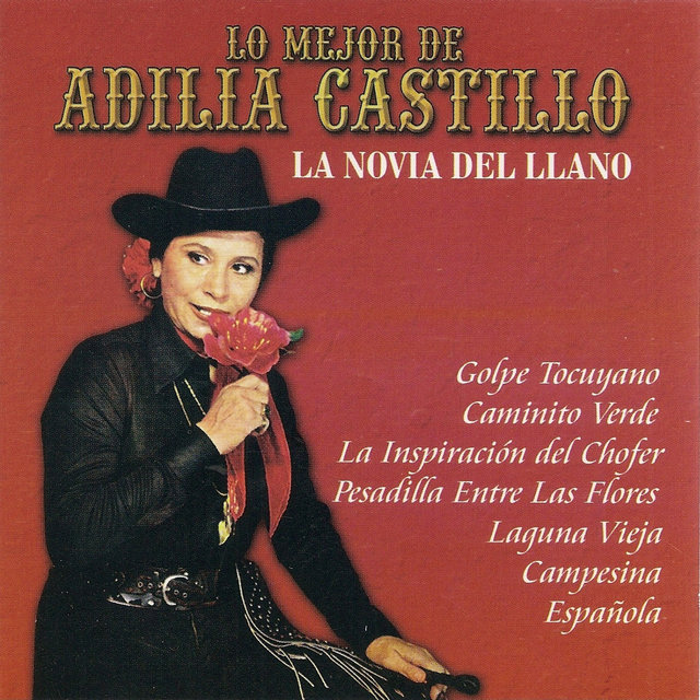 Lo Mejor de Adilia Castillo