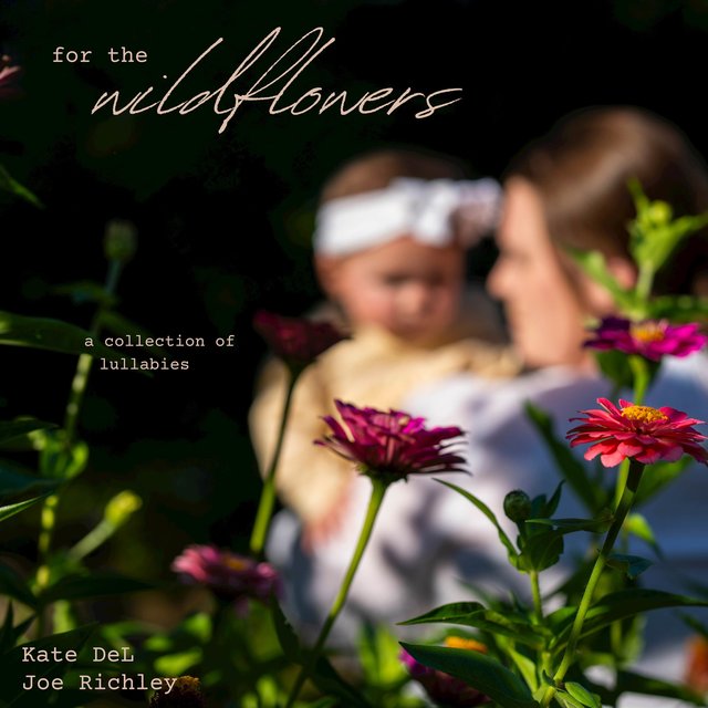 for the Wildflowers