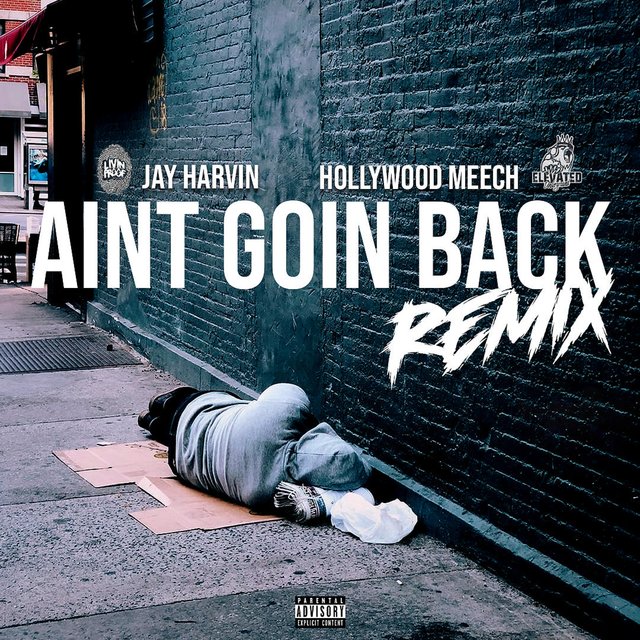 Aint Goin Back (feat. Hollywood Meech) [Remix]