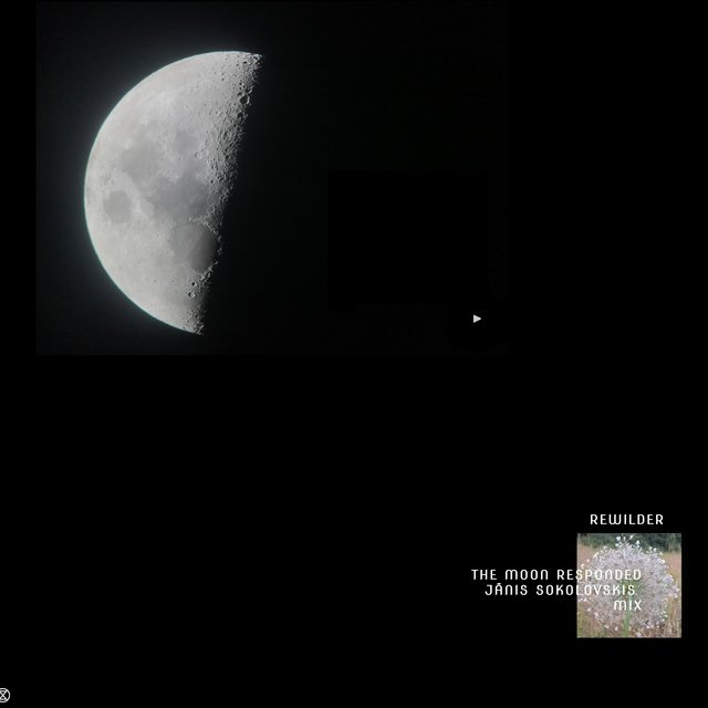 The Moon Responded
