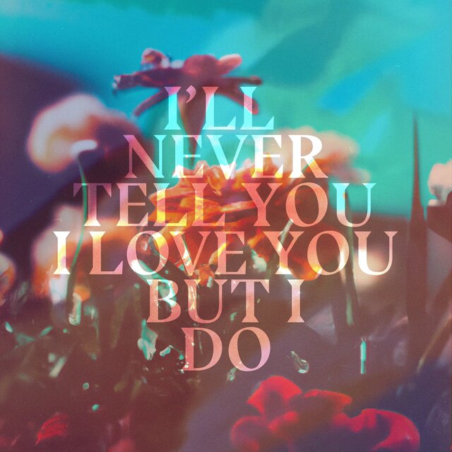 i'll never tell you i love you but i do.