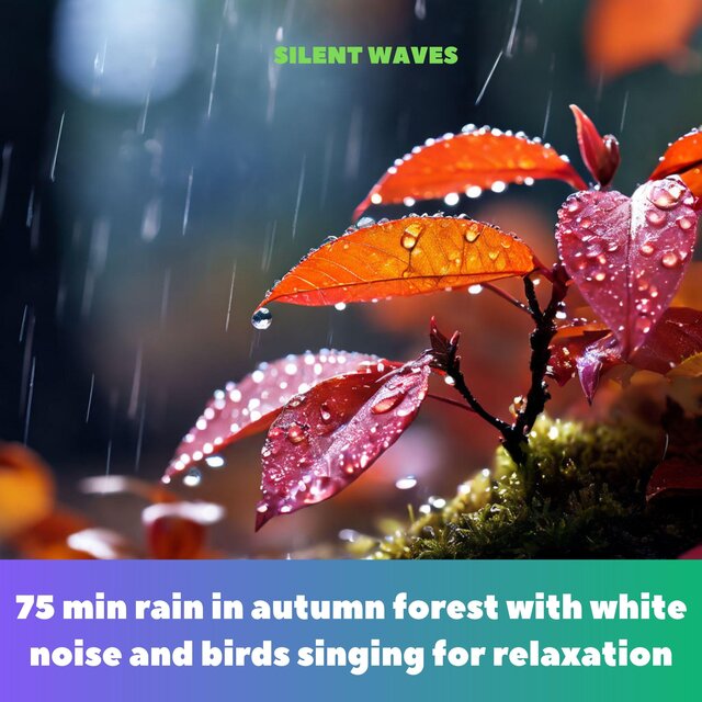 75 min rain in autumn forest with white noise and birds singing for relaxation