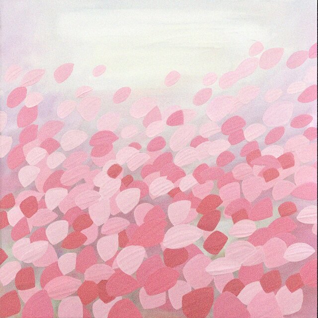 Echoes of the Sakura