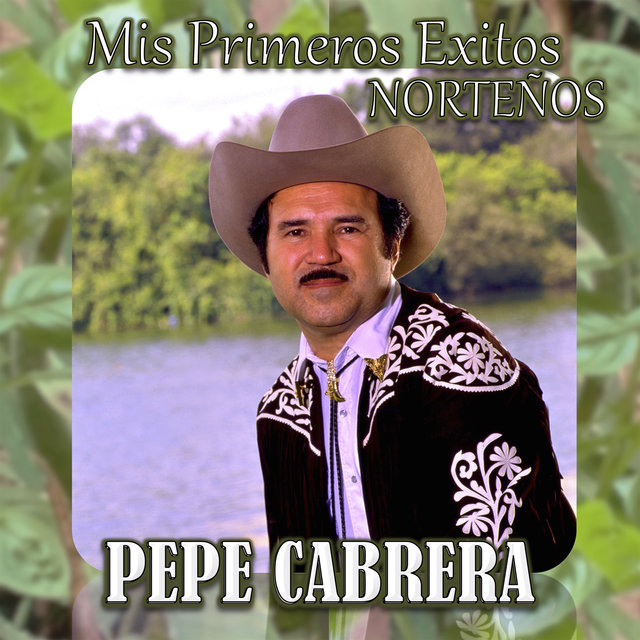 Mis Primeros Exitos Norteños