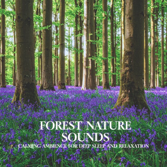 Forest Nature Sounds Calming Ambience for Deep Sleep and Relaxation