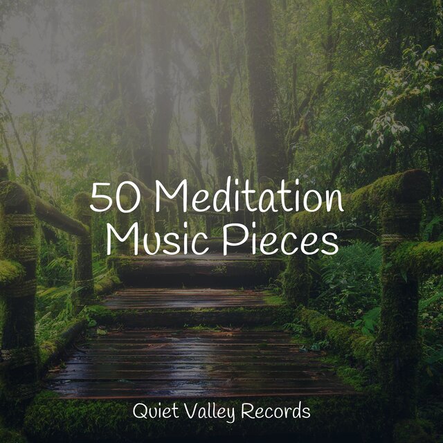 50 Meditation Music Pieces