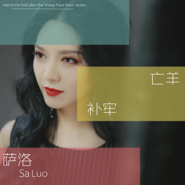亡羊補牢