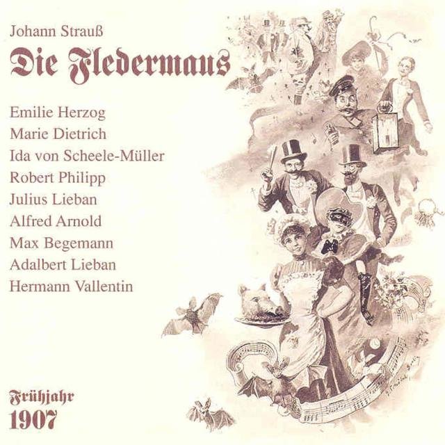 Die Fledermaus