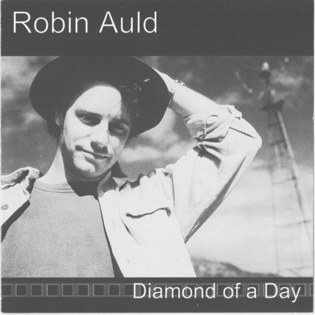 Diamond of a Day
