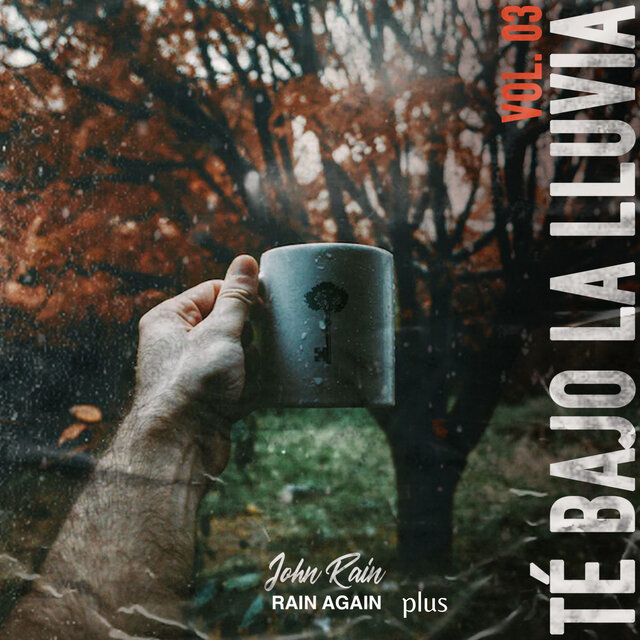 Te Bajo La Lluvia Rain Again Vol. 03 Plus