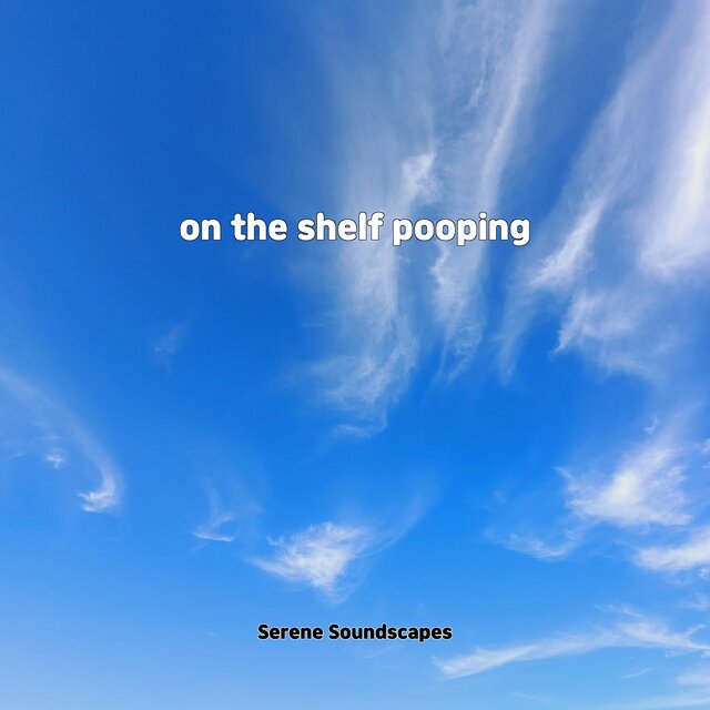 on the shelf pooping