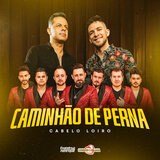 Caminhão de Perna