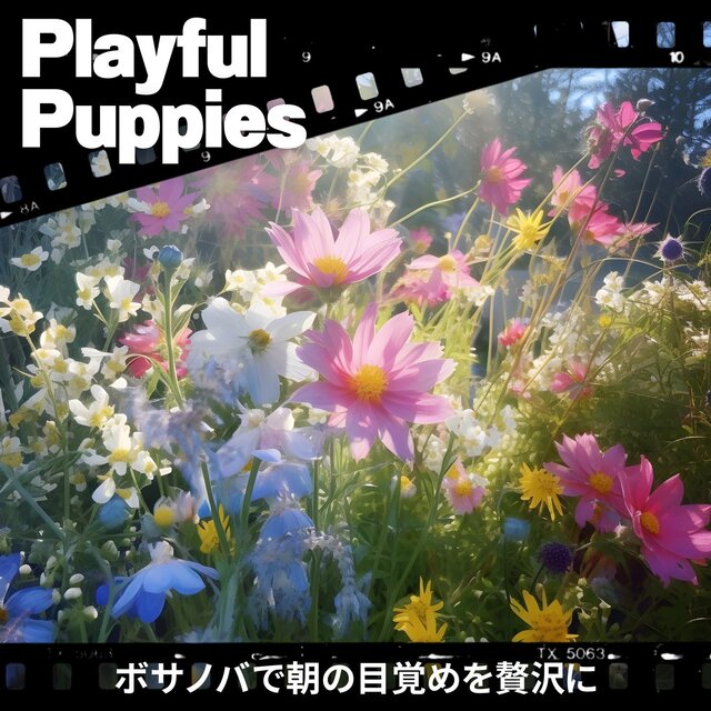 ボサノバで朝の目覚めを贅沢に