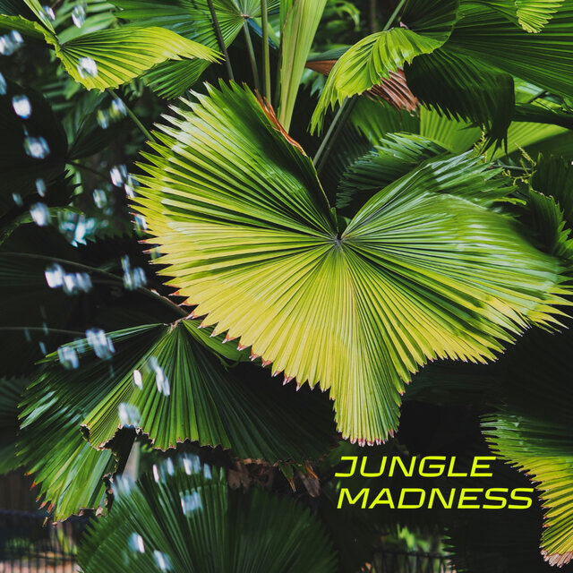 Jungle Madness