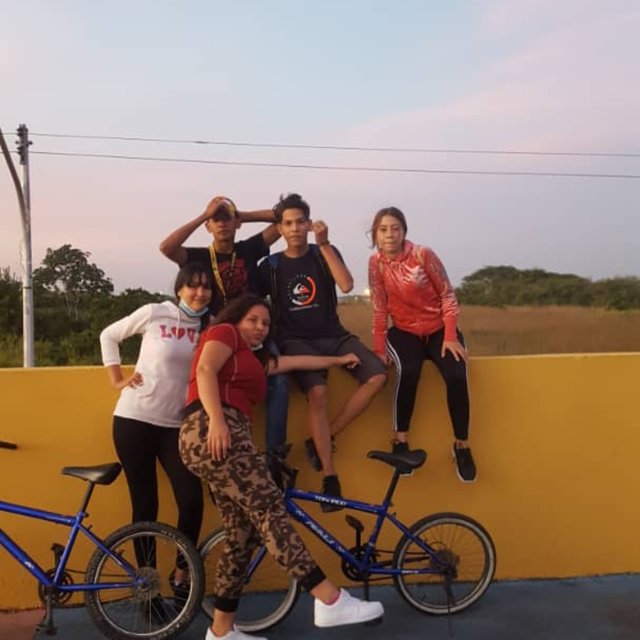 Elnene de la casa