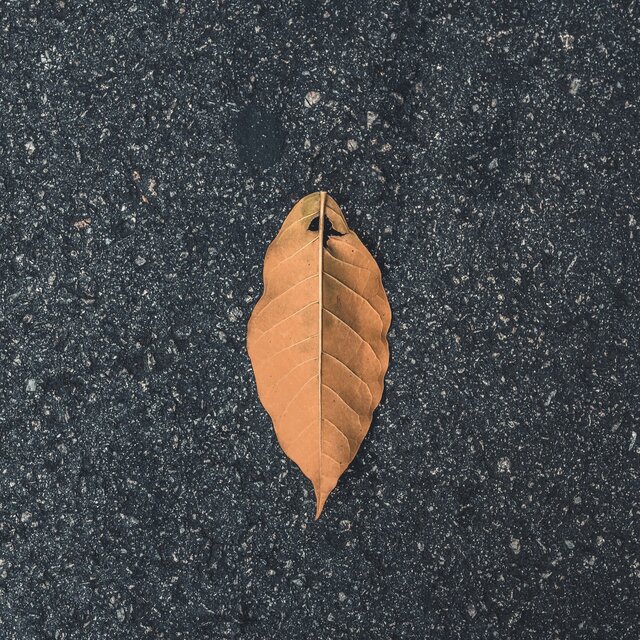 非遗文化 (第一场)