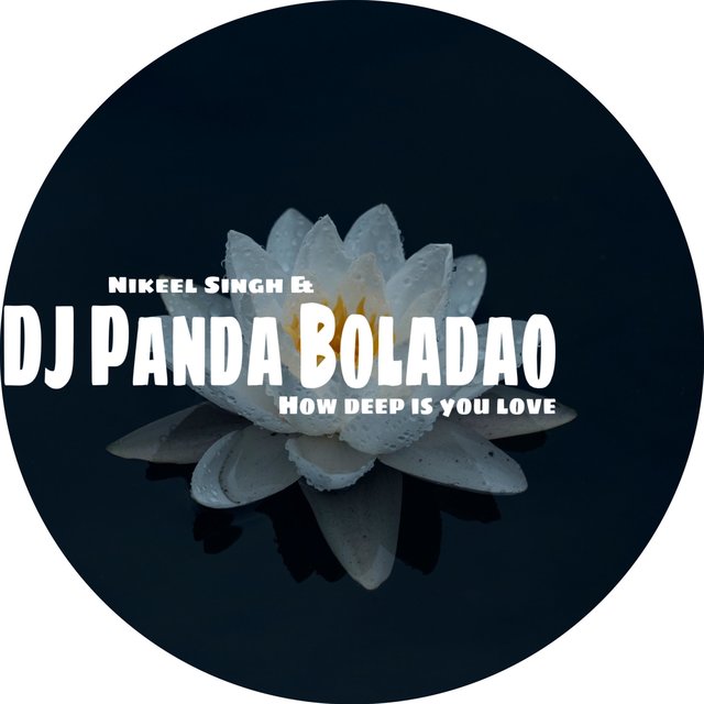 How Deep Is Your Love (feat. Panda Records & Nikeel Singh) [Radio Edit]