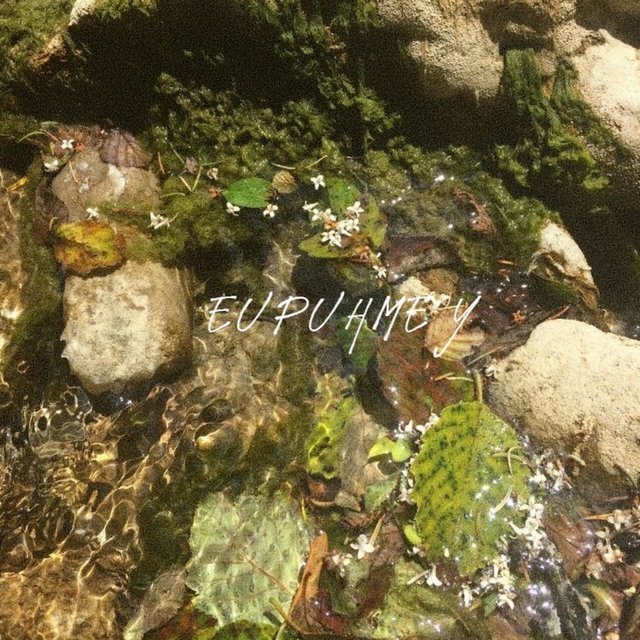 EUPUHMEY