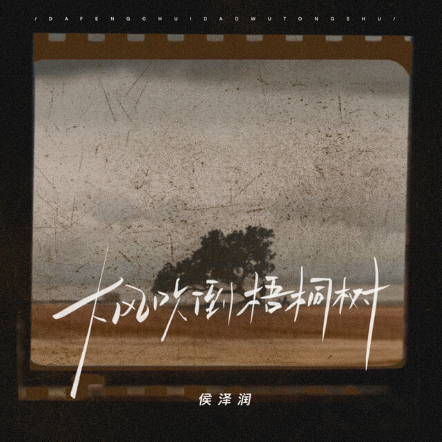 大风吹倒梧桐树 (0.8x)