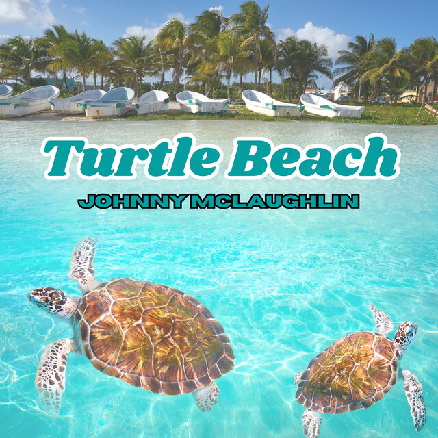 Turtle Beach