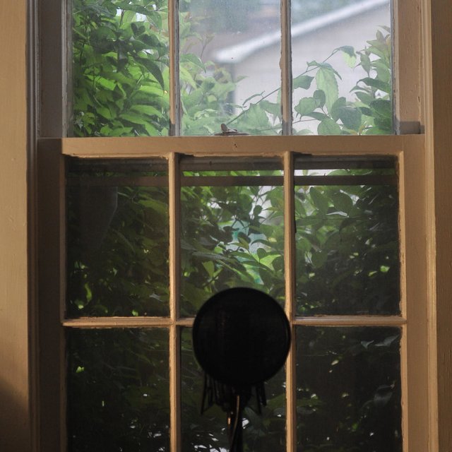 Drip : At Home