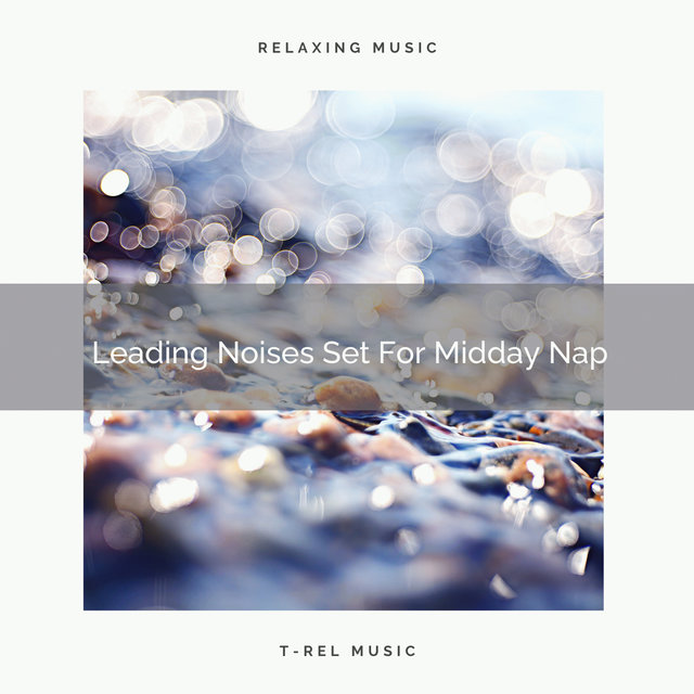Leading Noises Set For Midday Nap
