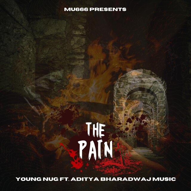 THE PAIN (feat. Aditya Bhardwaj Music)