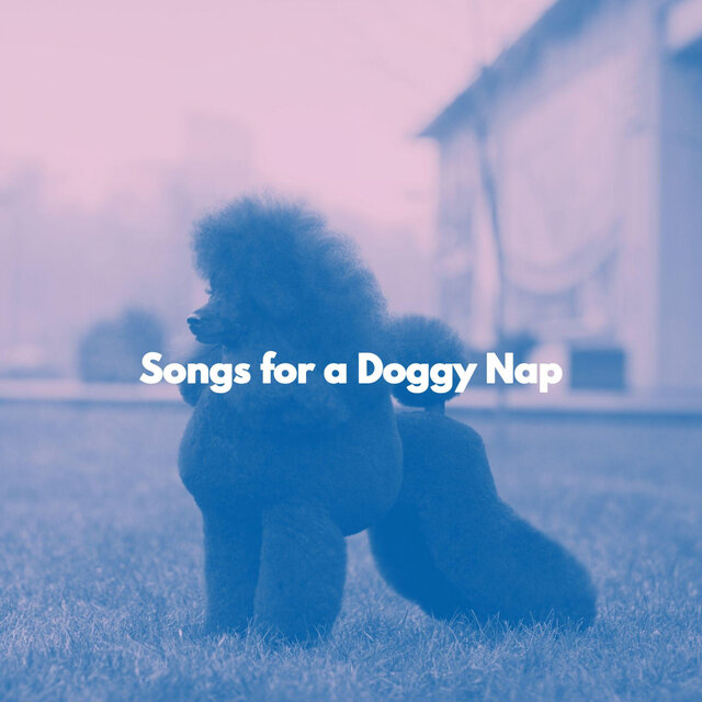 Songs for a Doggy Nap