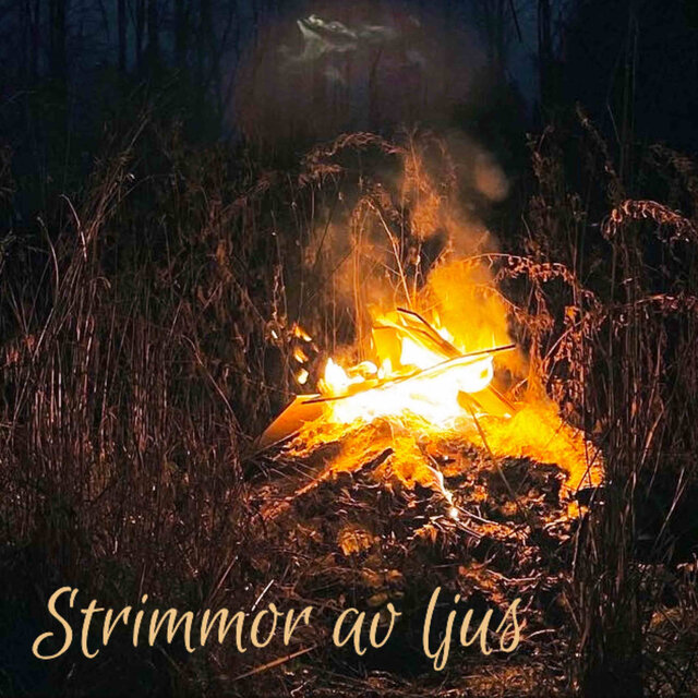 Strimmor av ljus