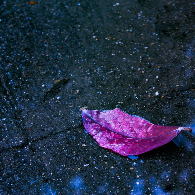 Rain Sounds