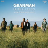 Perfect Plan (Camz, Pedro White Remix)