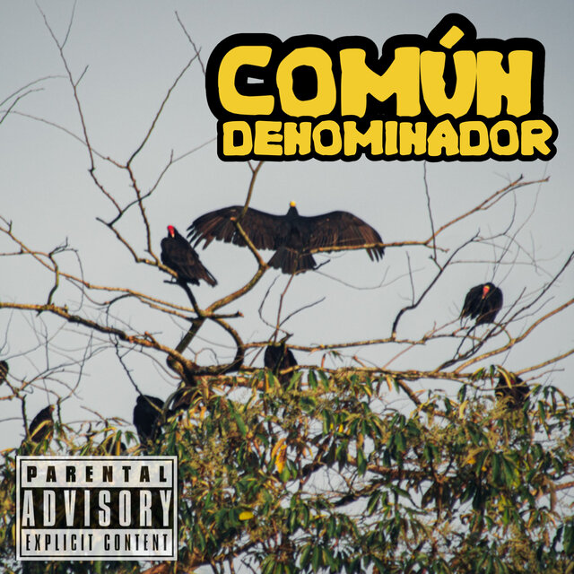 Común Denominador