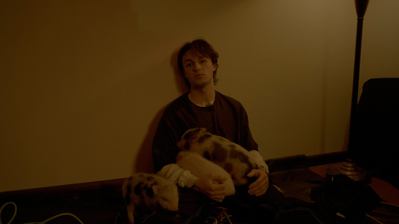 Digital Silence (.mp4)