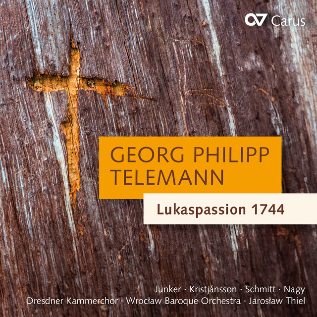 Telemann: Lukaspassion, TWV 5:29: Sonata