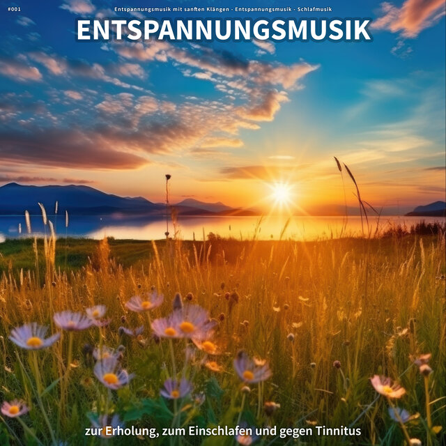 #001 Entspannungsmusik zur Erholung, zum Einschlafen und gegen Tinnitus