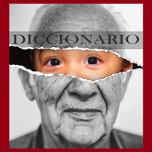 Diccionario