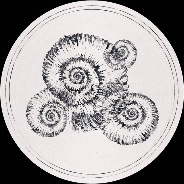 Perisphinctes Tiziani Remixes
