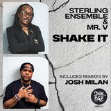 Shake It (Mr V Variant)